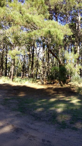 Lote En La Reserva De Costa Del Este De 2196,42 M2