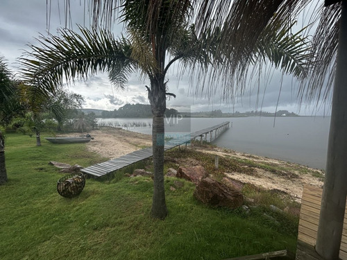 Imagen 9 de 18 de Chacra De 5 Hectares En Laguna Del Sauce, Punta Ballena. - Punta Ballena Laguna Del Sauce
