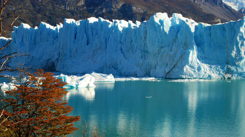 Terreno 1,5 Ha - El Calafate - Santa Cruz
