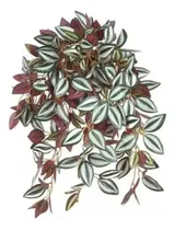Comprar 2 Pendentes Folhagem Jardim Vertical Lambari Realista 65cm