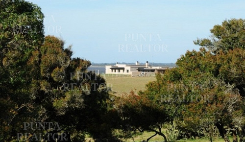Chacra En Venta En La Rinconada- Ref: 357