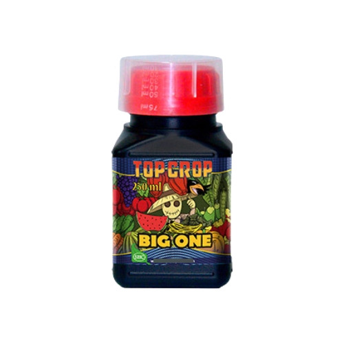 Fertilizante Big One Top Crop 250ml