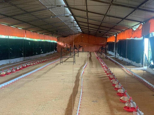 Imagen 8 de 15 de Rp Vende Finca Granja Avícola, Miranda, Estado Carabobo Rp 185.862