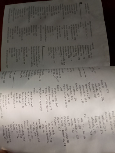 Miniguia Setas (Usado)