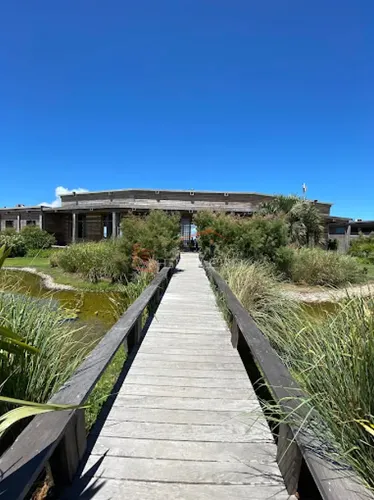 Venta De Terreno En Las Garzas, Punta Del Este
