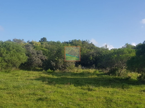 Imagen 7 de 13 de Chacras 5 Hás En Fraccionamiento Altos De Aiguá