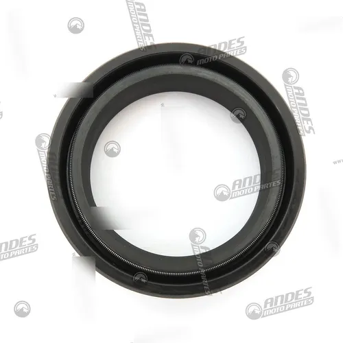 Retenes Barras Kawasaki Kmx125r Kmx125 Kmx