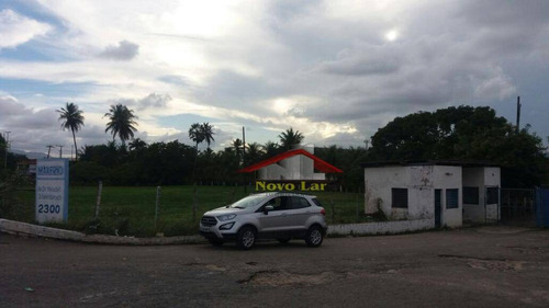 Imagem 28 de 30 de Terreno Comercial À Venda ,na Av.godofredo Maciel - Te0042