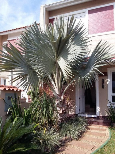 Casa À Venda, 88 M² Por R$ 549.000,00 - Central Parque - Cachoeirinha/rs - Ca0214