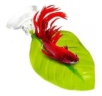 Comprar Folha De Descanso Para Peixe Betta - Cama Do Betta