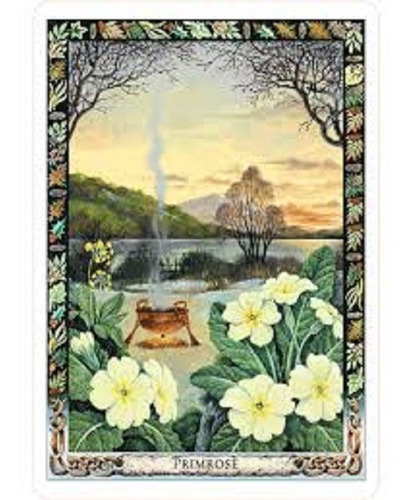 The Druid Plant Oracle Brinde Cartas Caminho Sagrado