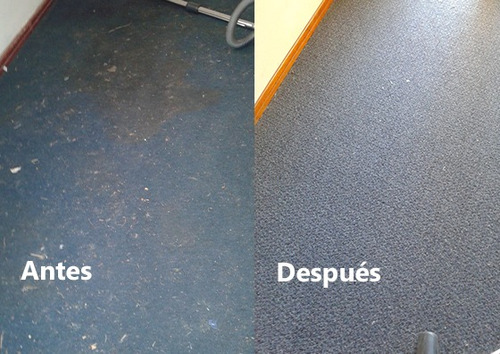 Imagen 9 de 10 de Limpieza De Alfombras Y Moquette Moquetas Carpetas Empresas