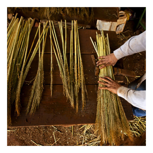 Sementes De Sorgo Vassouras 10v60 - 1kg
