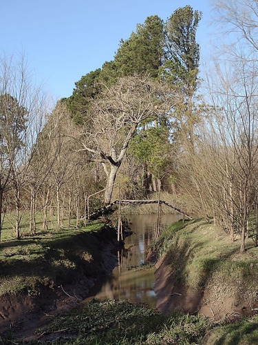 Lote Quinta Arroyo Ñacurutu Zarate