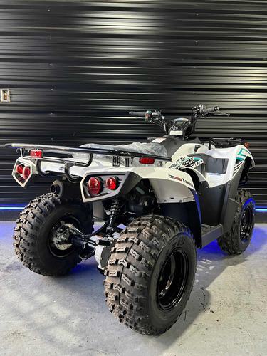 Kawasaki Brute Force 300 0km - Entrega Ya 0km - Envios