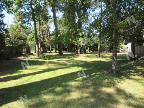 Imagen 2 de 3 de Excelente Lote En Venta - Punta Del Este San Rafael