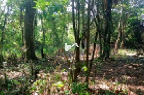 Imagem 1 de 6 de Bom Lote Inteiro No Jardim Coronel