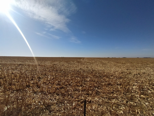 Venta Campo Agrícola Zona Río Cuarto - Córdoba