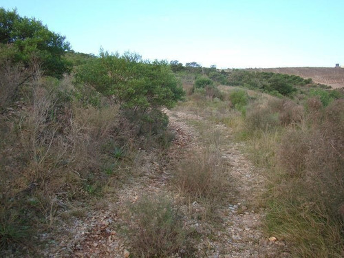 Imagen 14 de 15 de Chacra En Abra De Perdomo, Maldonado