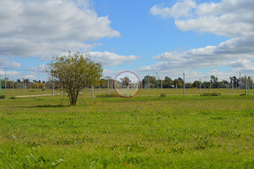 Imagen 18 de 30 de Terreno Lote En Venta Ubicado En Manuel B Gonnet, La Plata