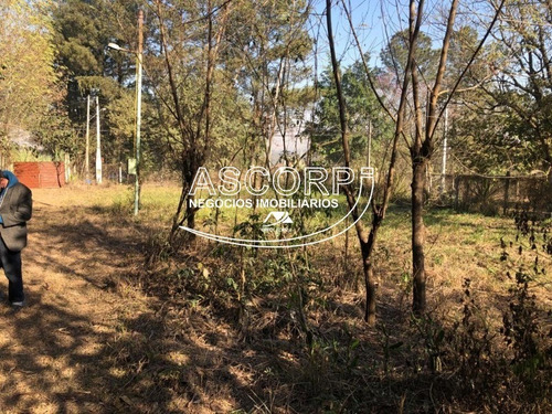 Imagem 2 de 22 de Ótimo Terreno Para Chácara No Ondinhas Em Piracicaba (código Ch00043) - Ch00043 - 69881080