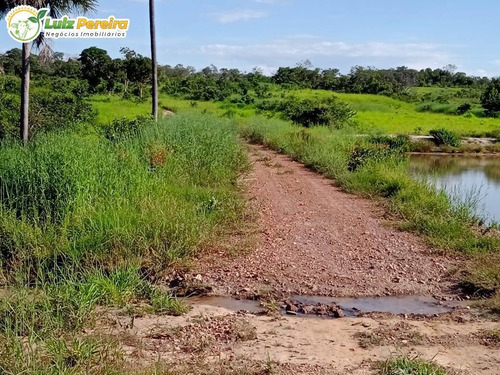 Imagem 10 de 15 de Fazenda Em Breu Branco - Pa - 2.584,56 Hectares (dupla Aptidão) - 2158