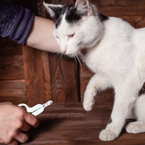 Claw Scissors, Cortador De Uñas Cat Safety Para Principiante