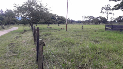 Imagen 11 de 16 de Finca Ganadera Doble Propósito Santo Domingo