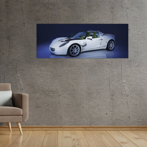 Cuadro 30x80cm Auto 2008 Rinspeed Squba Auto 81