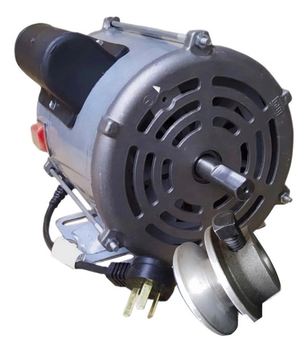 Motor Weg 1 Hp Para Hormigoneras Trompitos Mas Polea