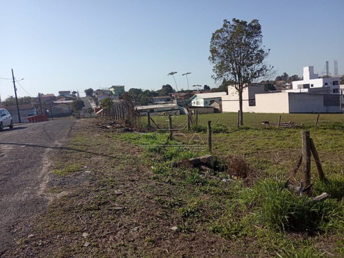 Imagem 5 de 5 de Terreno - Mina Uniao - Ref: 32159 - V-32156
