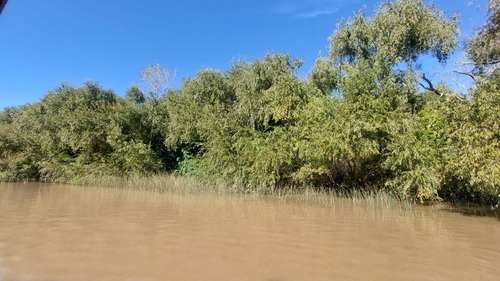 Imagen 2 de 7 de Terreno - Canal Del Este