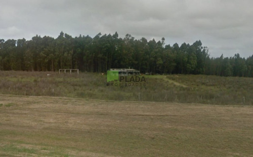 Imagen 3 de 11 de Buena Fracción Con Arroyo Sobre Ruta 9