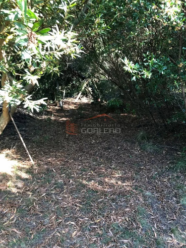 Escpectacular Vista!!, Se Vende Chacra Con Casa En Zona De Maldonado A 5 Km De Ruta 39