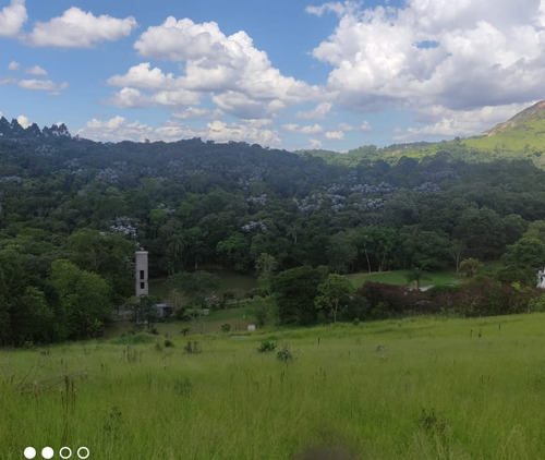 Terrenos 1000m2 $100.000,00 Cada