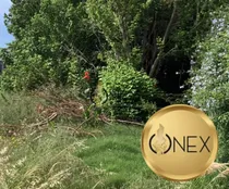 Comprar Venta De Terreno Sobre Calle Principal Salinas Norte 