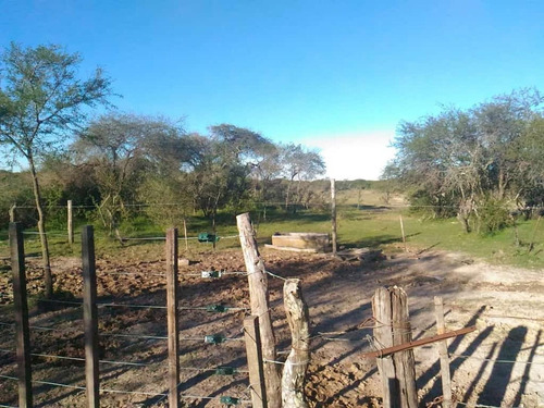 Imagen 5 de 8 de Chacra En Venta Zona Rio Gualeyán