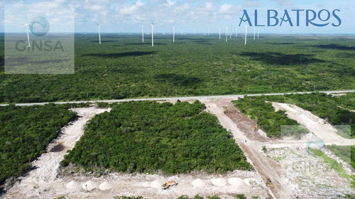 Imagen 14 de 20 de Residencial Albatros || Excelente Privada Residencial De Lotes De Terreno En Venta, Ubicada Al Norte De Merida, Cercana A Chicxulub Puerto