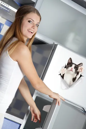 Vinilo Decorativo Pared [74qmgp4g] Gato 3d Animal
