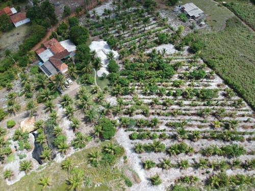 Fazenda Com 5,5ha A Casa Tem 495m2 Construído Em 2 Andares. Piscina Natural. O Imóvel E Perfeito Para Plantar Café Ou Cacau