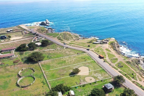 Mirador De Punta De Lobos