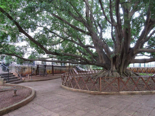 Imagem 9 de 30 de Apartamento À Venda, 76 M² Por R$ 450.000,00 - Picanco - Guarulhos/sp - Ap0892