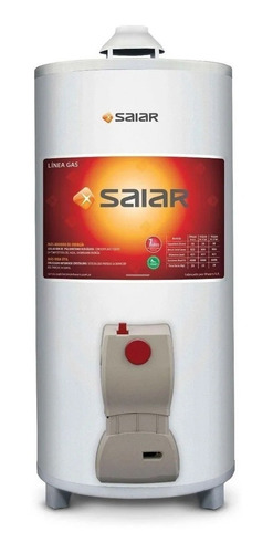 Imagen 1 de 7 de Termotanque Saiar 80 Litros A Gas Carga Superior De Apoyar
