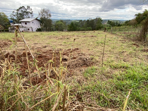 Chácara 10.000 M² - Lomba Grande - Novo Hamburgo - Rs - 2117 - 33898402