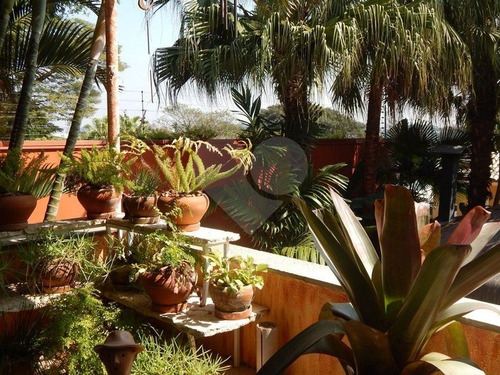 Jardim Guedala - 353-im97789