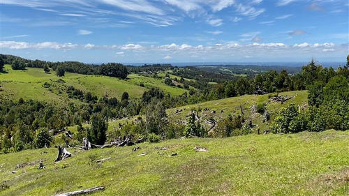 Campito De 8,6 Hectáreas Con Hermosa Vista!