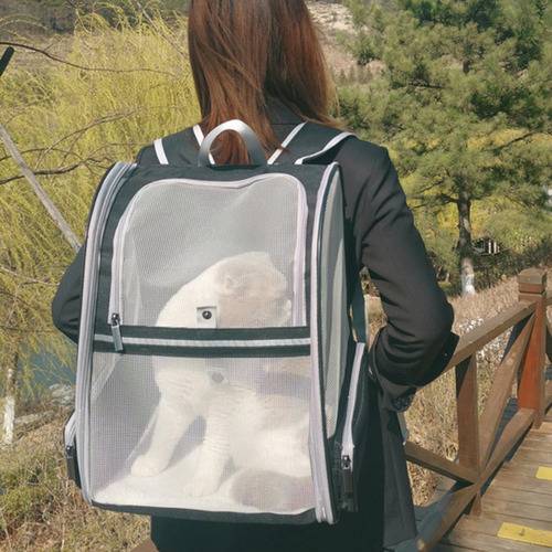 Estera Del Pie De La Mochila Del Perrito Del Gatito Negro