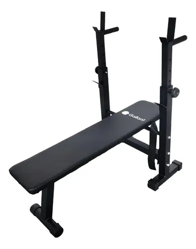 Gallant workout bench clearance