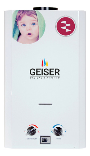 Calentador De Agua Instantaneo Geiser Gas 10 L/min Color Gas Natural