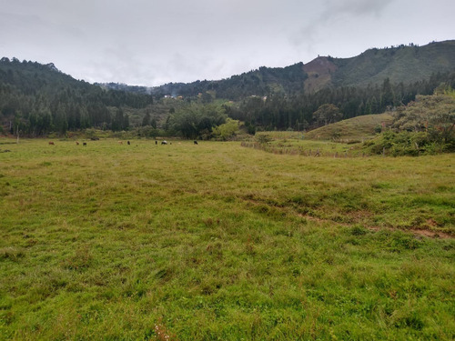 Lote Para Parcelar En Guarne, Vereda La Hondita